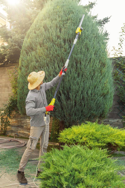 Best Aeration Services  in Mcgregor, FL